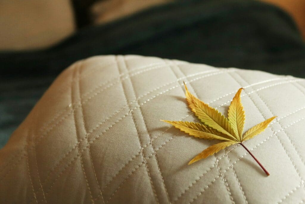 a yellow leaf is laying on a white cushion