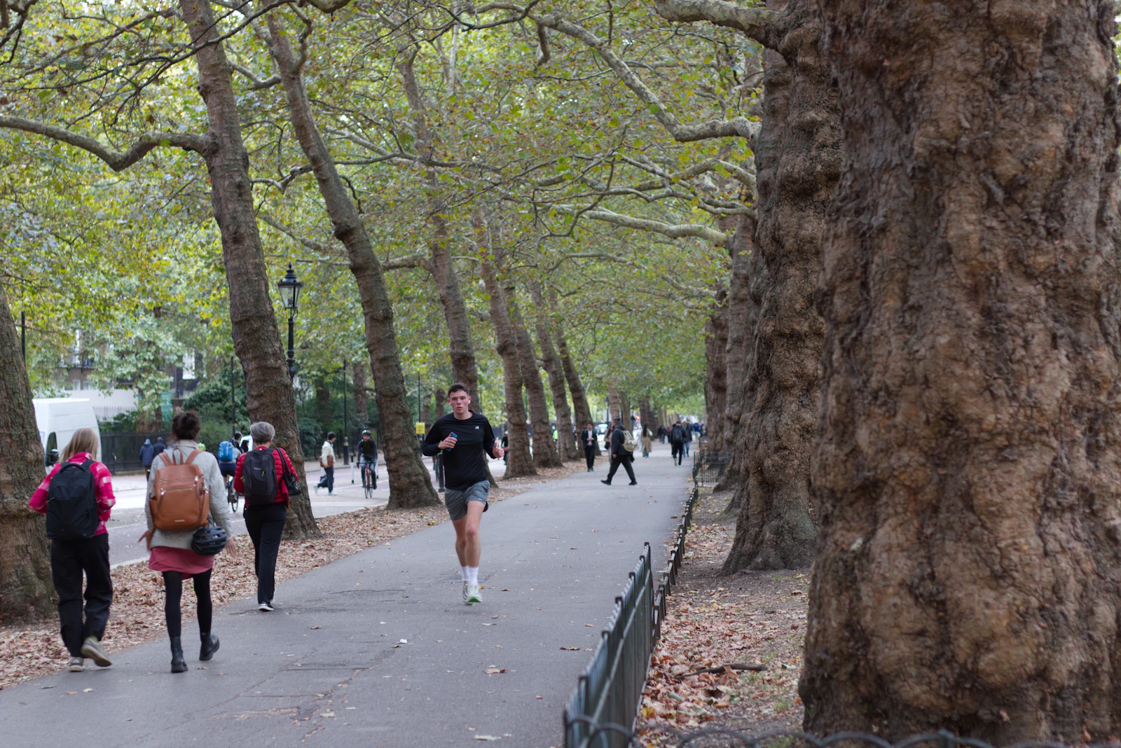 快走、慢跑還是 HIIT？有氧運動完全指南——用科學找到最適合你的運動