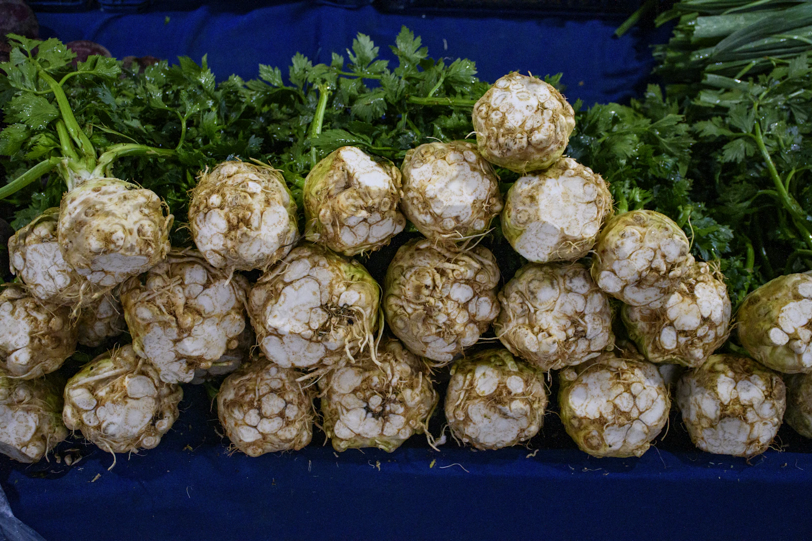 素食者必讀：維他命 B12 完全指南——52% 的純素者都缺乏，你補對了嗎？