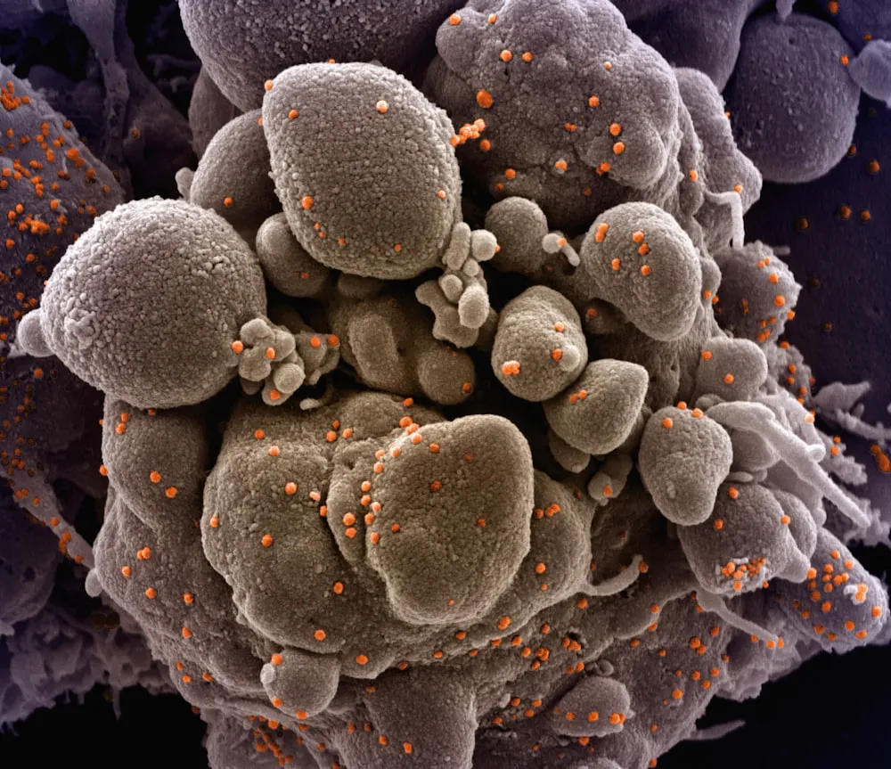 癌症的本質與預防：從演化角度解析癌症挑戰