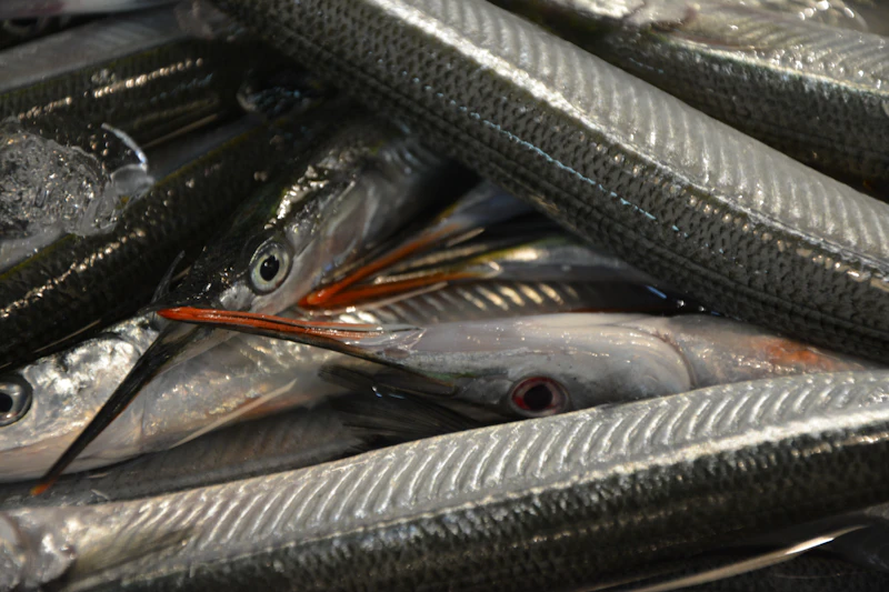市場上的新鮮魚貨——選對魚種就能大幅降低汞暴露